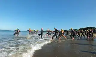 nz
